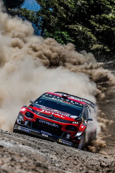 Untitled design (2) copy 13